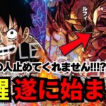 【紫ルフィ】３強ルフィ時代突入!!!?今最も熱いリーダーはこの漢!!!!【ワンピカード】