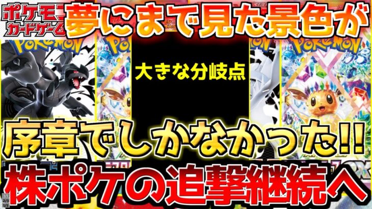 【ポケカ】ここからが真骨頂!!更なる株ポケの追い打ちがやって来る!!【ポケモンカード最新情報】