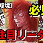 【ワンピカ対戦】登場時無効にどこまでやれる！？新カード追加で黄カルガラは環境で暴れ回れるか