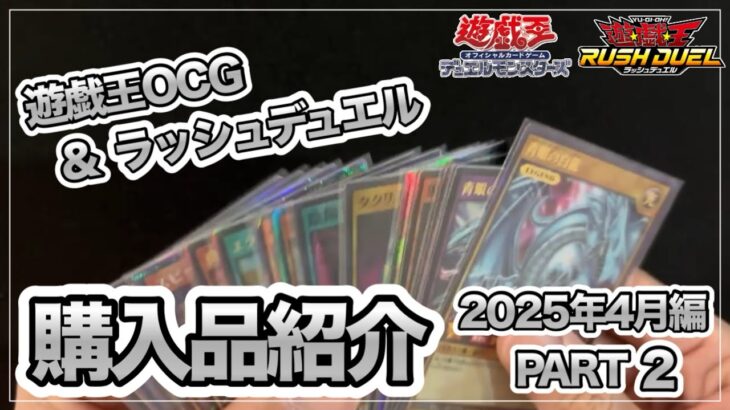 【遊戯王】購入品紹介！ドラゴン族多め？新弾パックのカードも！
