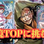 【ワンピースカード】新環境のコアラはどこまで新環境で戦えるんだ？？黒黄色コアラvs緑紫ルフィ