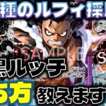 【対戦動画】超有料級‼︎vsルッチ不利対面の勝ち方教えます。青紫ルフィvs黒ルッチ