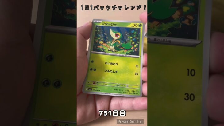 【ポケカ】1日1パックチャレンジー！ブラックボルト #shorts