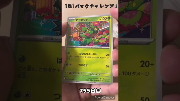 【ポケカ】1日1パックチャレンジー！ブラックボルト #shorts