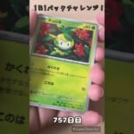 【ポケカ】1日1パックチャレンジー！ブラックボルト #shorts
