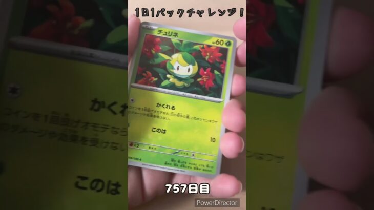 【ポケカ】1日1パックチャレンジー！ブラックボルト #shorts