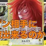【ワンピカード】黄カルガラが12弾環境立ち位置がいい！？？