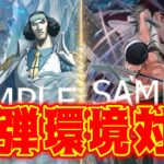 【ワンピースカード】12弾環境対決！！　青クザンVS緑ゾロ！！　初心者・中級者向け