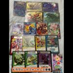 デュエマ　エピソード3からドラゴンサーガ　エキスパンション振り返り