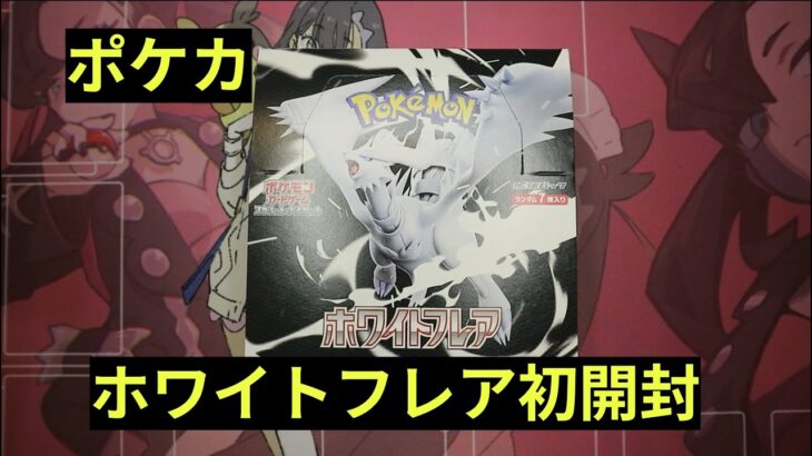 【ポケカ】新弾「ホワイトフレア」初BOX開封！
