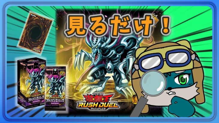 【ラッシュデュエル】見るだけ！OCGでもおなじみ、あの人気モンスターゼラが表紙のデビルズセレモニー！【遊戯王 】