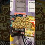 【これって当たり？】ワンピースカード双璧の覇者とザベスト開封！【ONEPIECE CARD GAME】