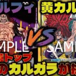 【対戦動画】フラシ優勝報告多数！話題のカルガラで環境トップに勝負！黄カルガラVS青紫ルフィ