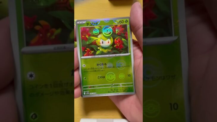 ポケカ開封🌟新弾ゲットだぜ！🌟#pokemon #ポケカ