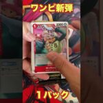 【ワンピ新弾】ワンピースカード/師弟の絆２パック開封！