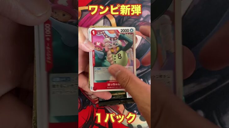 【ワンピ新弾】ワンピースカード/師弟の絆２パック開封！