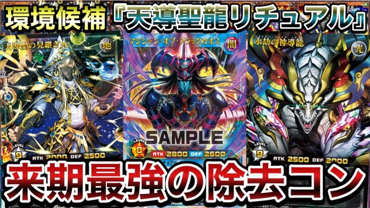 【新環境】次期環境トップ候補と呼び声の高い『エタニティリチュアル』の最新型を使用。めちゃくちゃ強くて草