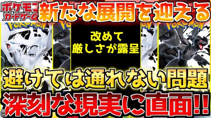 【ポケカ】避けられないジレンマ!!今のポケカ界に付きまとう確執!!【ポケモンカード最新情報】