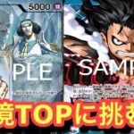 【ワンピースカード】現環境最強の青紫ルフィに青クザンが挑む