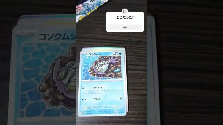 レイジングサーフ引いたよ！#ポケカ