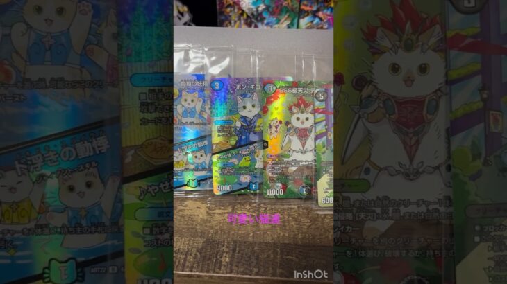 【デュエマ】神アート　アニマル・マスターズ〜決闘は猫である〜　アサギ神アート初購入#デュエマ