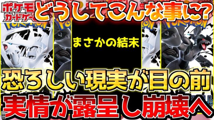 【ポケカ】嘘みたいなお話…目を覚ます時が来た!!真の価値が問われる瞬間【ポケモンカード最新情報】