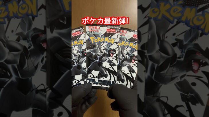 【ポケカ】やっとポケカの新弾買えました！「ブラックボルト」を３パック開封していくぜ！