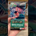 【師弟の絆】新弾を早速開封してコミパラボニーを狙ってく！【ワンピースカード】