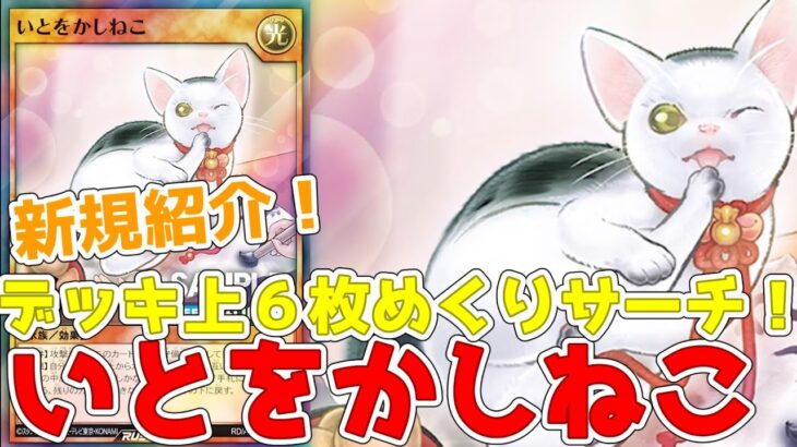 【ラッシュデュエル】新規紹介！いとをかしねこ！デッキ上６枚からサーチ！めくる枚数がインフレしていく！【遊戯王】