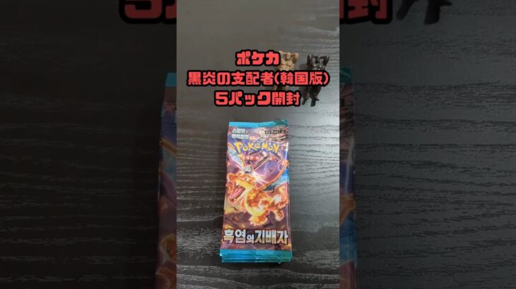 黒炎の支配者 開封動画