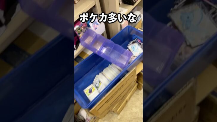 ポケカの新弾が出たのでとても忙しかった日曜日 #vlog #ポケカ #作業内容 #カードショップ店員