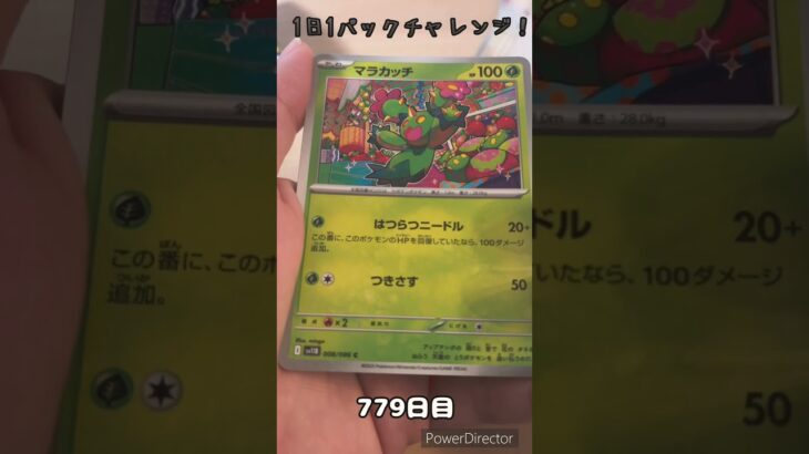 【ポケカ】1日1パックチャレンジー！ブラックボルト #shorts