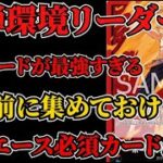 [ワンピースカード]13弾新リーダー赤青エースと最強相性カードがある！？高騰する前に集めておけ！おすすめカードまとめ！