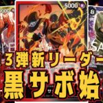 【ワンピースカード】13弾新リーダー赤黒サボ始動！　緑ゾロVS赤黒サボ！　初心者・中級者向け