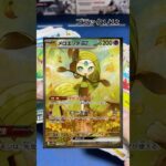 【ポケカ開封】ポケモンカード最新弾1カートン開封！まとめ版！vol.1