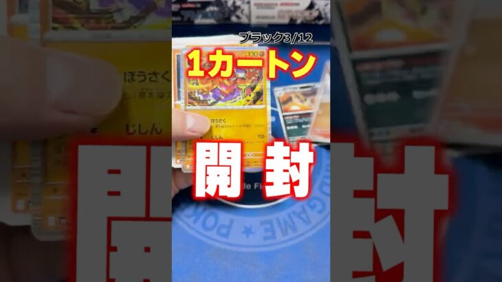 【ポケカ開封】ポケモンカード最新弾1カートン開封！まとめ版！vol.2