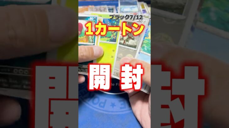 【ポケカ開封】ポケモンカード最新弾1カートン開封！まとめ版！vol.4