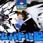 2025年7月15日ポケカジムバトルBW構築戦　エルフーンバレットVSエルフーンバレット