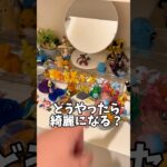 【ポケカ開封禁止生活21日目】玄関を綺麗にすべし！小物ってどうやったら綺麗に並べられるんだろう
