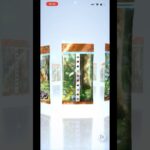 【ポケポケ】　新弾　イーブイガーデン　毎日2パックチャレンジ　11日目 #ポケモンカード  #ポケポケ #ポケカ #pokemon #pokemoncards #イーブイガーデン #switch