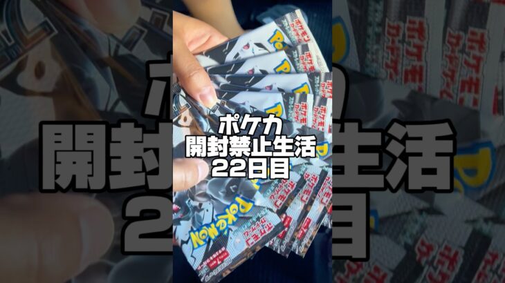 【ポケカ開封禁止生活22日目】開封しちゃいました。