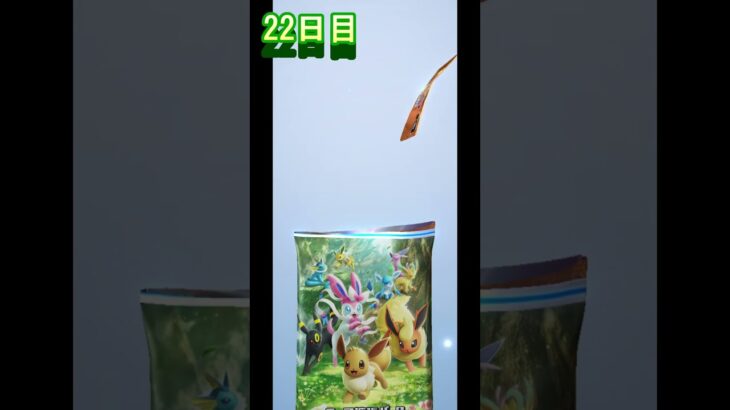 毎日ガチャ 22日目 #shorts  #ポケモンカード #ポケカ #ポケモン