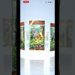 ポケポケ　新弾　イーブイガーデン　毎日2パックチャレンジ　23日目 #ポケモンカード  #ポケポケ #ポケカ #pokemon #pokemoncards #イーブイガーデン #switch