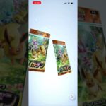 ポケポケ　新弾　イーブイガーデン　毎日2パックチャレンジ　29日目 #ポケモンカード  #ポケポケ #ポケカ #pokemon #pokemoncards #イーブイガーデン #switch