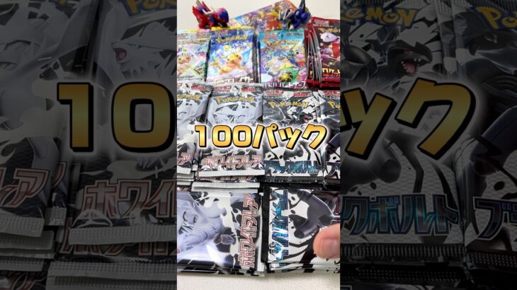 【ポケカ開封禁止生活24日目】神引きへの準備！