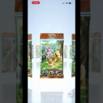 【ポケポケ】　新弾　イーブイガーデン　毎日2パックチャレンジ　9日目 #ポケモンカード  #ポケポケ #ポケカ #pokemon #pokemoncards #イーブイガーデン #switch