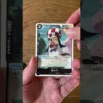 【開封31日目】今回も双璧の覇者パック開封｜顔が嫌いなキャラ連発！？シュナイダーからSRホーディでトントン⁉️【ワンピースカード】
