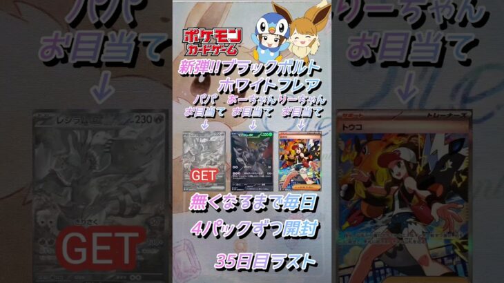【ポケカ】新弾!!ブラックボルト＆ホワイトフレア無くなるまで毎日4パックずつ開封　35日目　#ポケモンカード