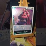 Fisher Tiger フィッシャー・タイガー One Piece ワンピース