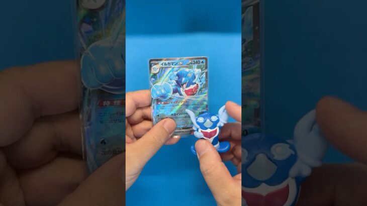 イルカマンPokémon Trading Card Game  #shorts #ポケモン #Pokémon #pokemoncards